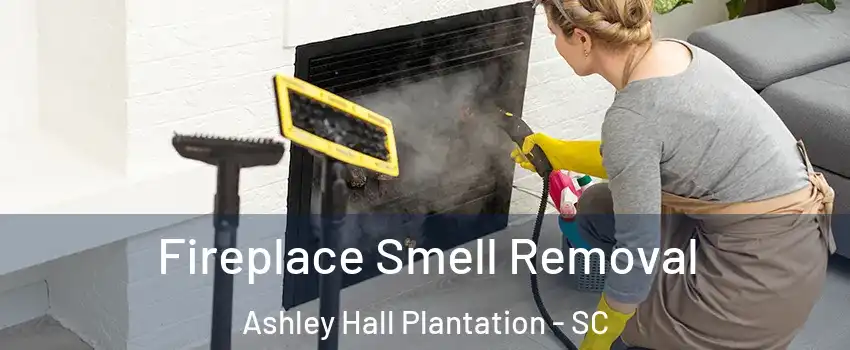 Fireplace Smell Removal Ashley Hall Plantation - SC