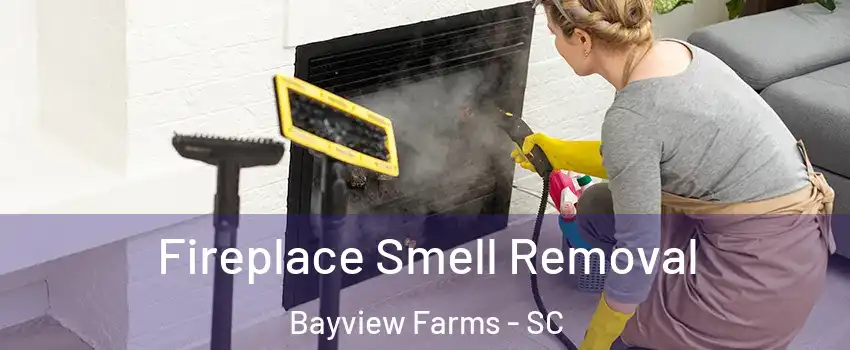 Fireplace Smell Removal Bayview Farms - SC