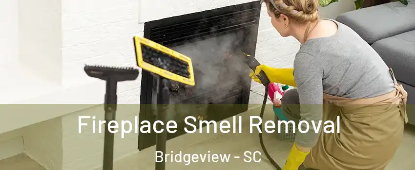 Fireplace Smell Removal Bridgeview - SC