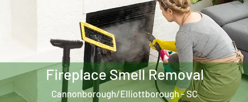 Fireplace Smell Removal Cannonborough/Elliottborough - SC