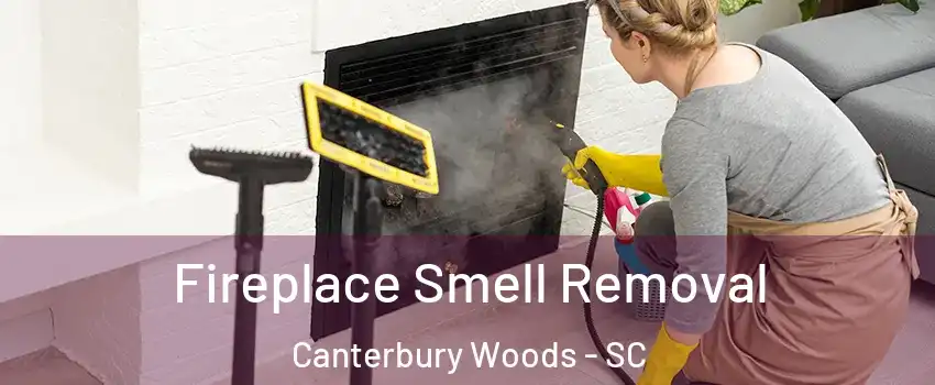 Fireplace Smell Removal Canterbury Woods - SC