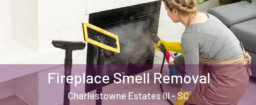 Fireplace Smell Removal Charlestowne Estates III - SC