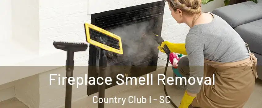 Fireplace Smell Removal Country Club I - SC