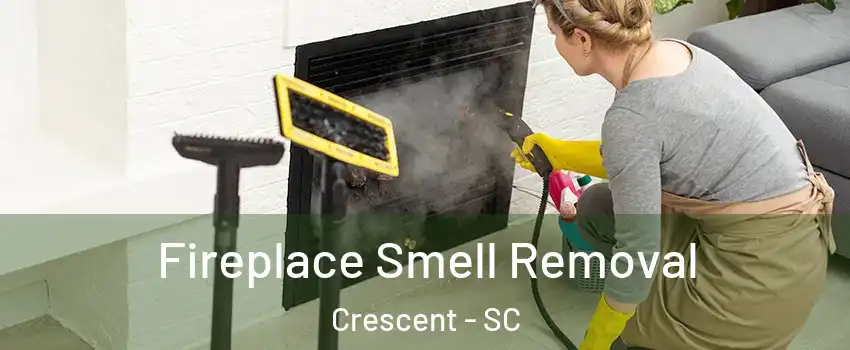 Fireplace Smell Removal Crescent - SC