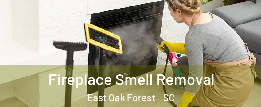 Fireplace Smell Removal East Oak Forest - SC