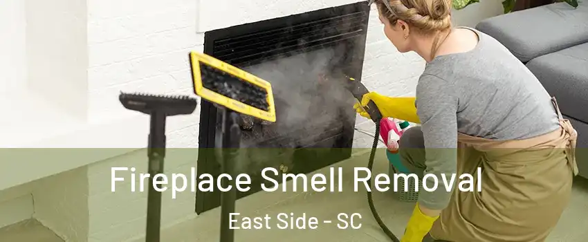 Fireplace Smell Removal East Side - SC