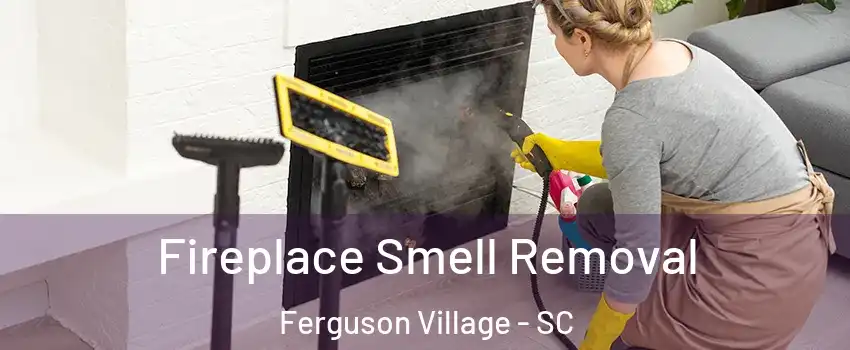 Fireplace Smell Removal Ferguson Village - SC