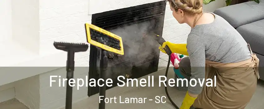 Fireplace Smell Removal Fort Lamar - SC