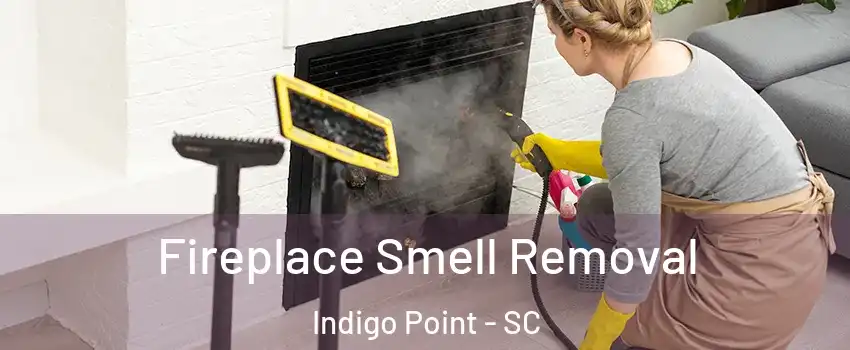 Fireplace Smell Removal Indigo Point - SC