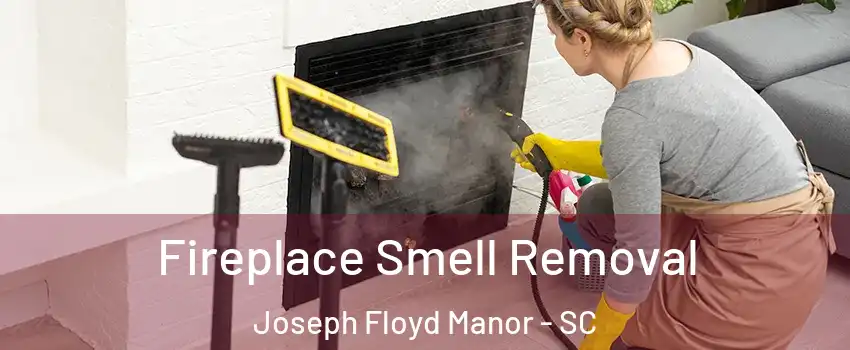 Fireplace Smell Removal Joseph Floyd Manor - SC