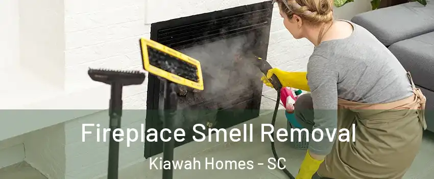 Fireplace Smell Removal Kiawah Homes - SC