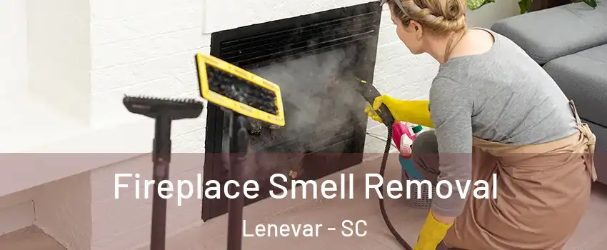 Fireplace Smell Removal Lenevar - SC