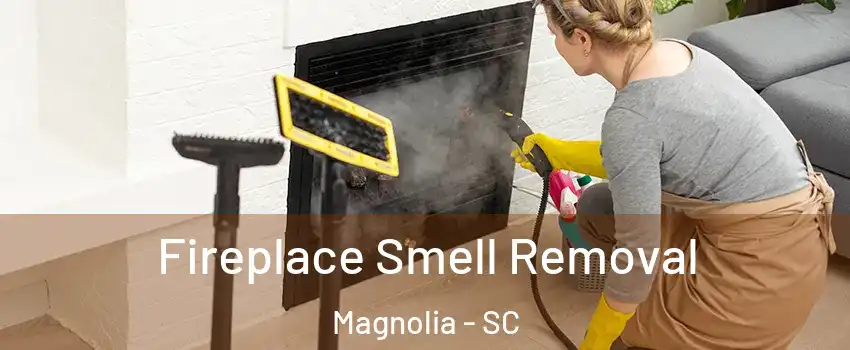 Fireplace Smell Removal Magnolia - SC