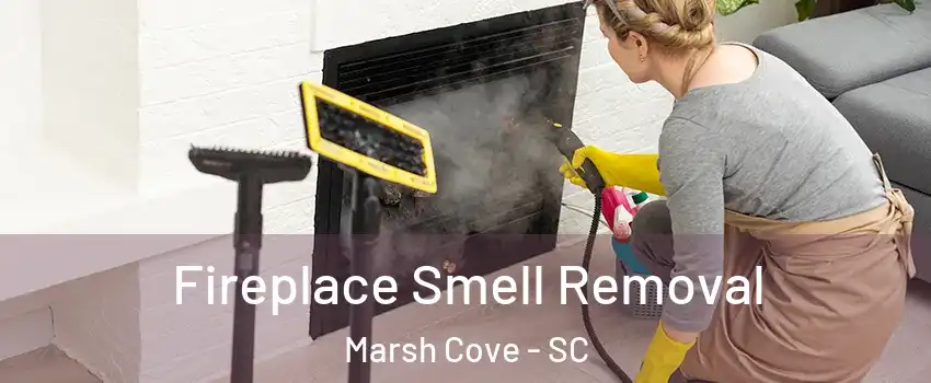 Fireplace Smell Removal Marsh Cove - SC