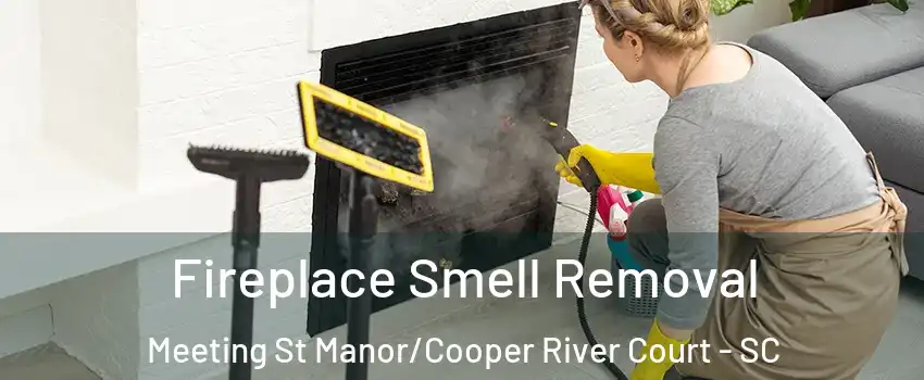 Fireplace Smell Removal Meeting St Manor/Cooper River Court - SC