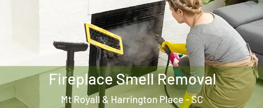 Fireplace Smell Removal Mt Royall & Harrington Place - SC