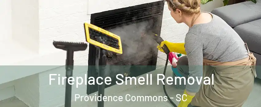 Fireplace Smell Removal Providence Commons - SC