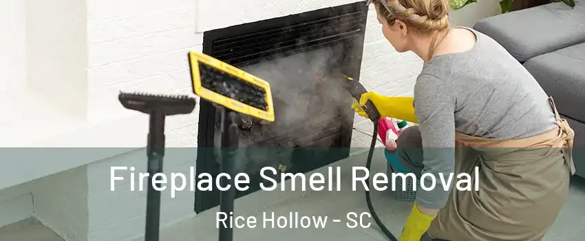 Fireplace Smell Removal Rice Hollow - SC