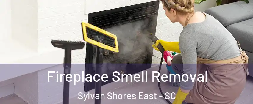 Fireplace Smell Removal Sylvan Shores East - SC