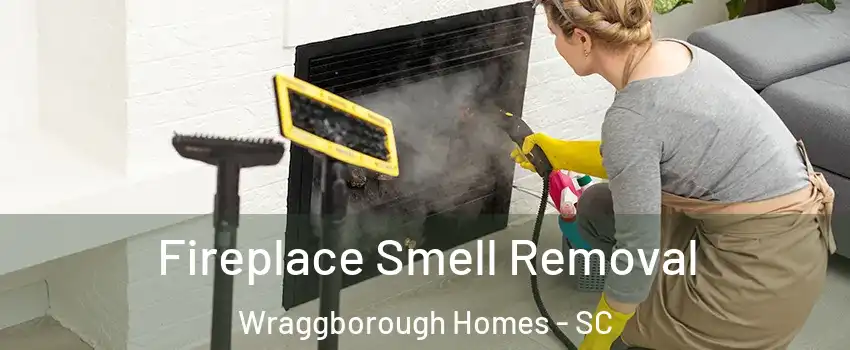 Fireplace Smell Removal Wraggborough Homes - SC