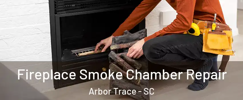 Fireplace Smoke Chamber Repair Arbor Trace - SC