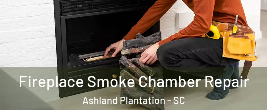 Fireplace Smoke Chamber Repair Ashland Plantation - SC