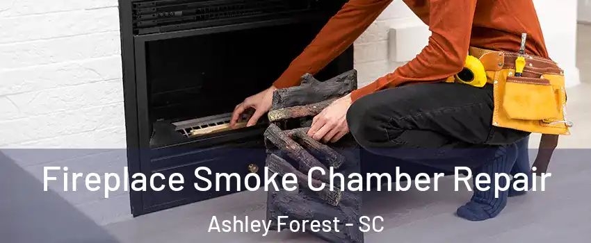 Fireplace Smoke Chamber Repair Ashley Forest - SC