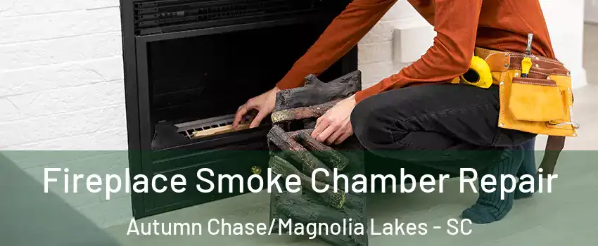 Fireplace Smoke Chamber Repair Autumn Chase/Magnolia Lakes - SC