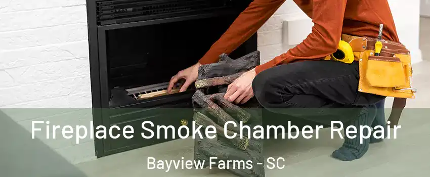 Fireplace Smoke Chamber Repair Bayview Farms - SC