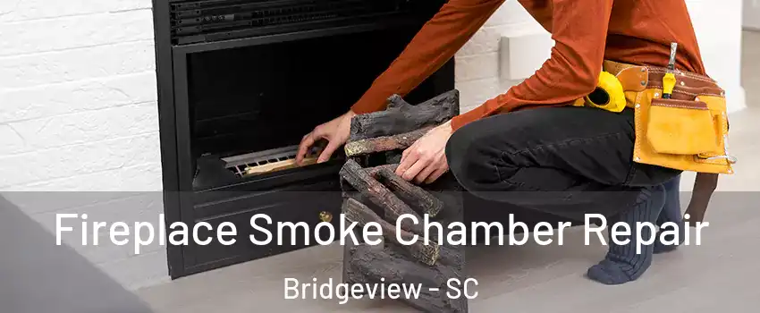 Fireplace Smoke Chamber Repair Bridgeview - SC