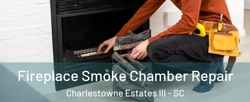 Fireplace Smoke Chamber Repair Charlestowne Estates III - SC