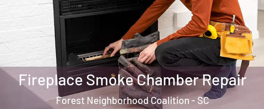 Fireplace Smoke Chamber Repair Forest Neighborhood Coalition - SC