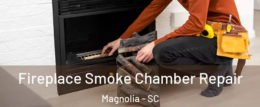 Fireplace Smoke Chamber Repair Magnolia - SC