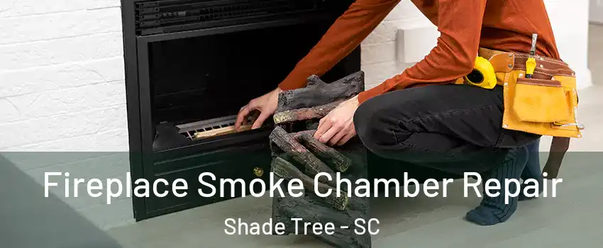 Fireplace Smoke Chamber Repair Shade Tree - SC