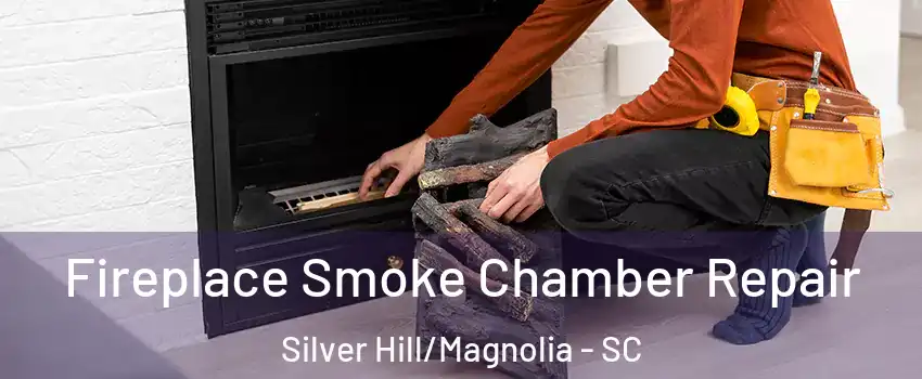 Fireplace Smoke Chamber Repair Silver Hill/Magnolia - SC