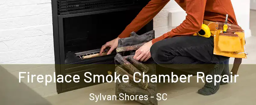 Fireplace Smoke Chamber Repair Sylvan Shores - SC