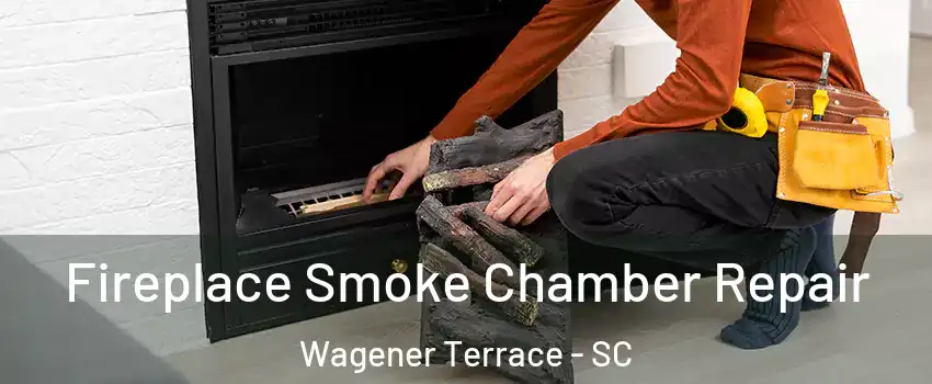 Fireplace Smoke Chamber Repair Wagener Terrace - SC