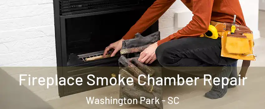 Fireplace Smoke Chamber Repair Washington Park - SC