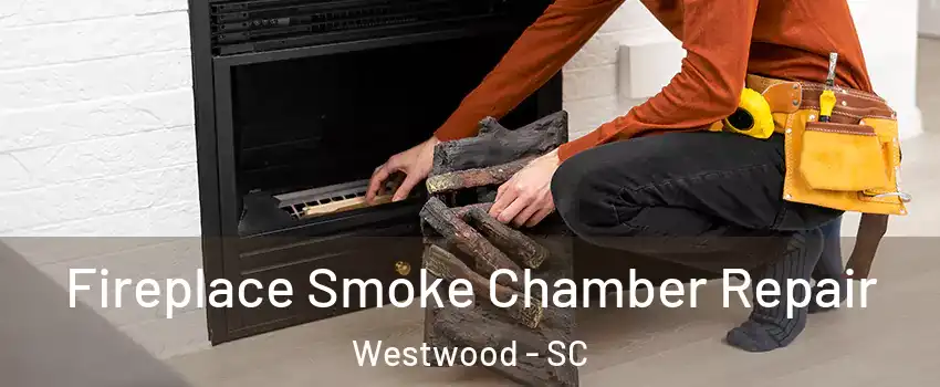 Fireplace Smoke Chamber Repair Westwood - SC