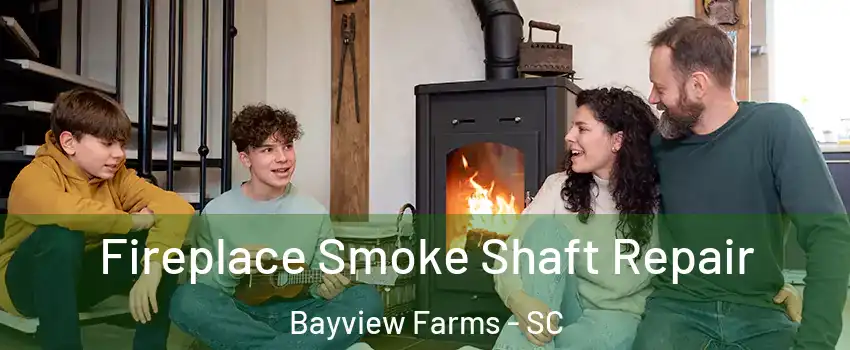 Fireplace Smoke Shaft Repair Bayview Farms - SC