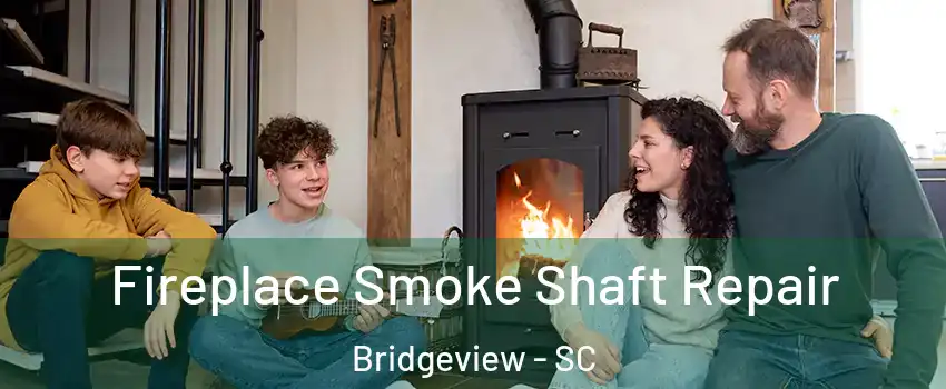 Fireplace Smoke Shaft Repair Bridgeview - SC