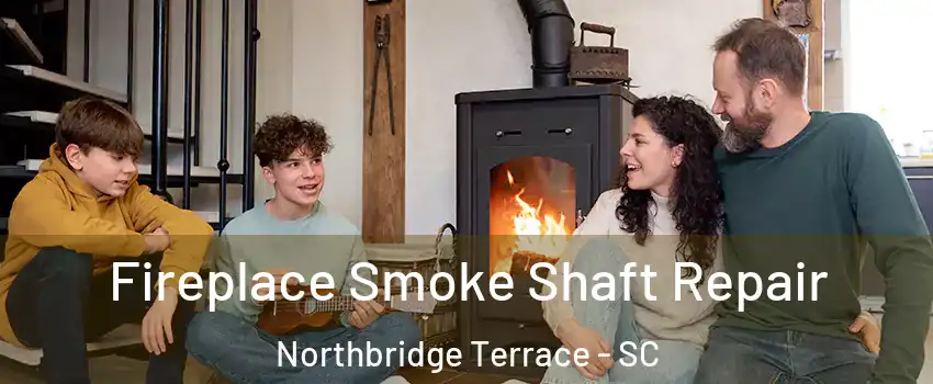 Fireplace Smoke Shaft Repair Northbridge Terrace - SC