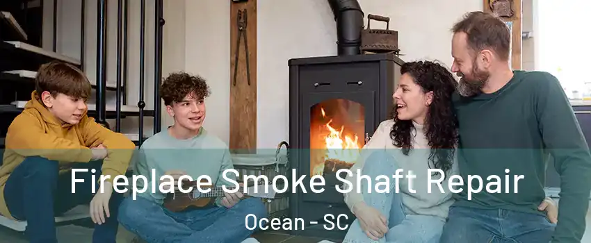 Fireplace Smoke Shaft Repair Ocean - SC