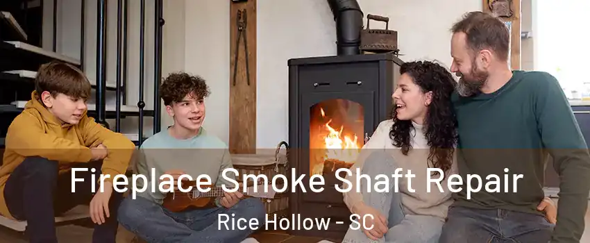 Fireplace Smoke Shaft Repair Rice Hollow - SC