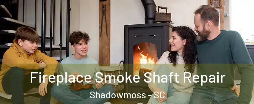 Fireplace Smoke Shaft Repair Shadowmoss - SC