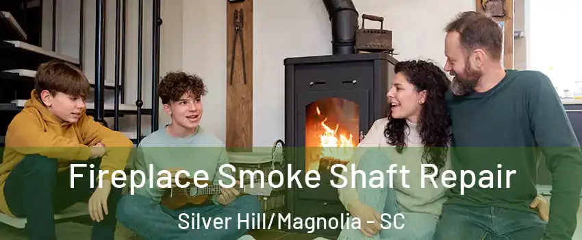 Fireplace Smoke Shaft Repair Silver Hill/Magnolia - SC