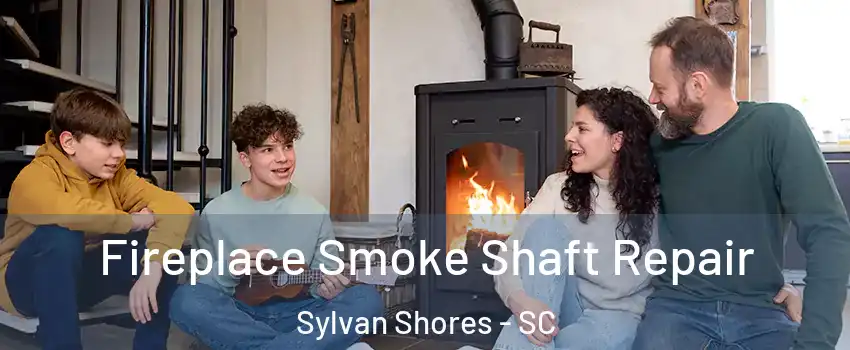 Fireplace Smoke Shaft Repair Sylvan Shores - SC