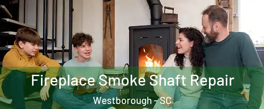 Fireplace Smoke Shaft Repair Westborough - SC