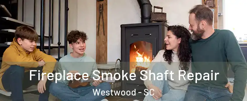 Fireplace Smoke Shaft Repair Westwood - SC