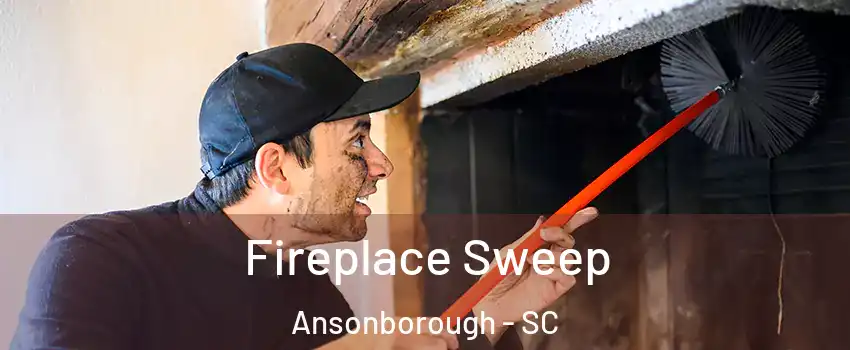 Fireplace Sweep Ansonborough - SC